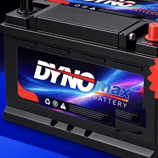 DynoMax car battery